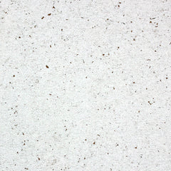 Sugar Sand White Cork Wall Tile