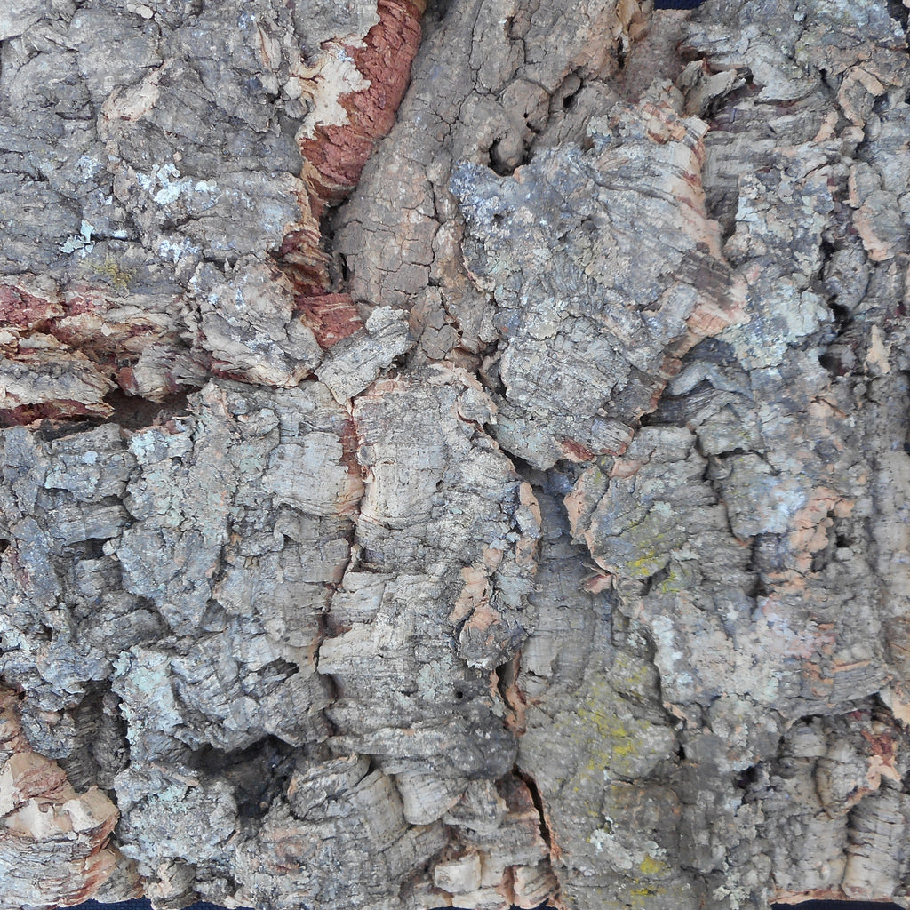 Tree Bark Cork Wall Tiles