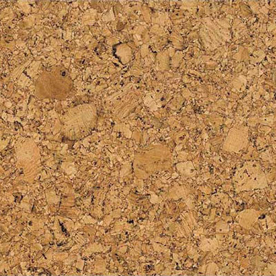 Cork Sample of Floor Tiles